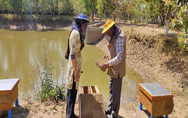 Three months certificate course/ curriculum on IFS for farmers